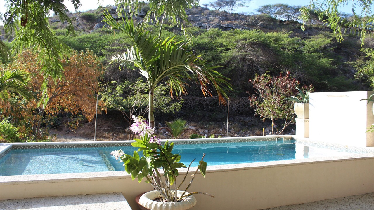 Photo of Outdoor in Savaneta