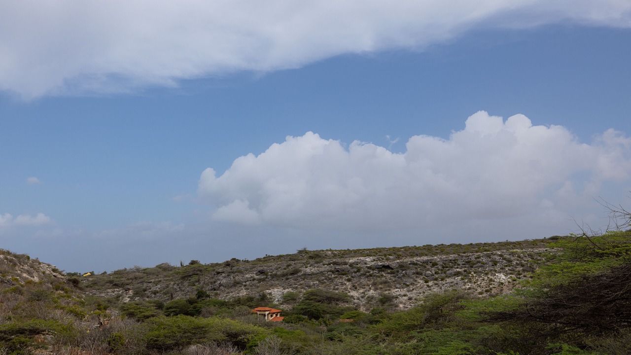 Photo of Others in Savaneta