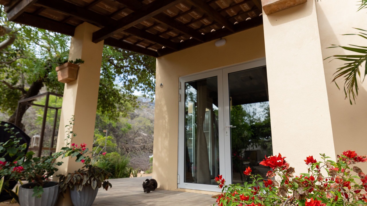 Photo of Outdoor in Savaneta