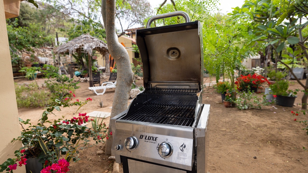 Photo of Outdoor in Savaneta