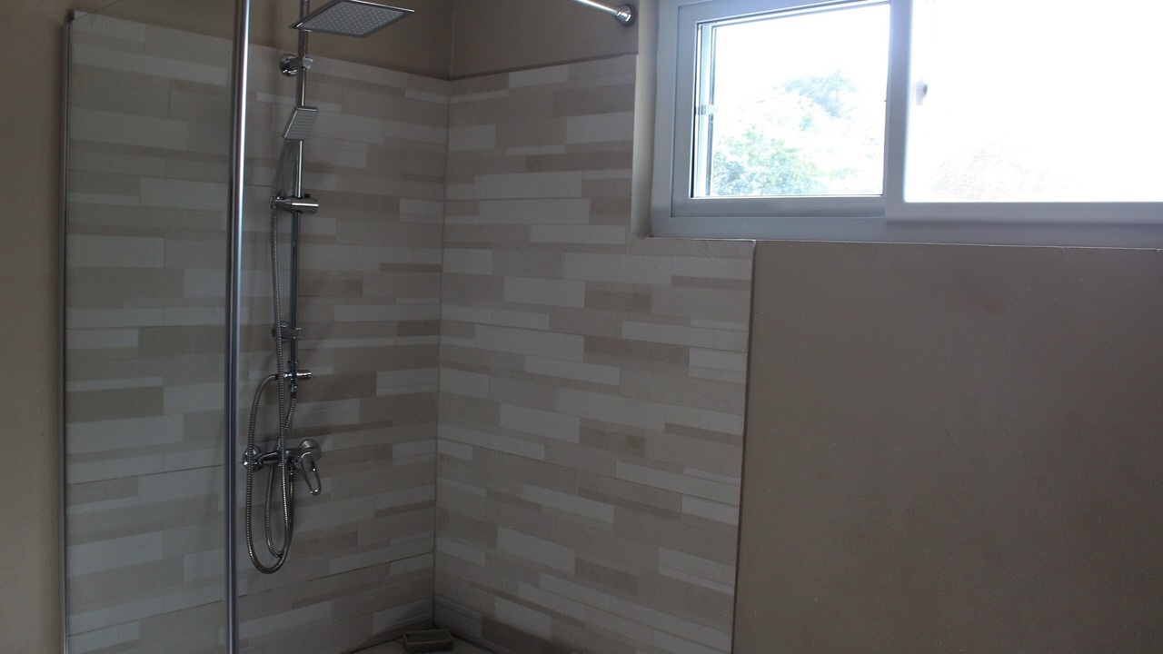 Photo of Bathroom in Savaneta