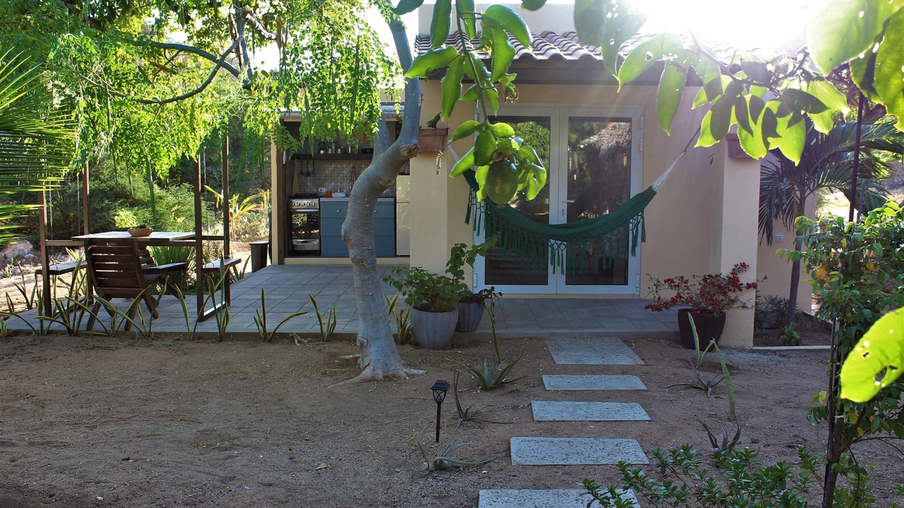 Photo of Outdoor in Savaneta