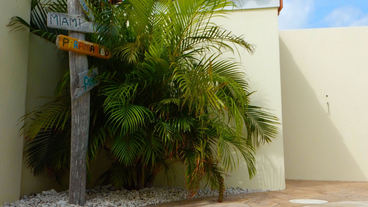 Photo of Outdoor in Shiribana