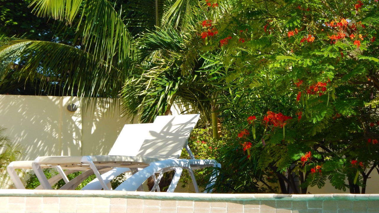 Photo of Outdoor in Shiribana