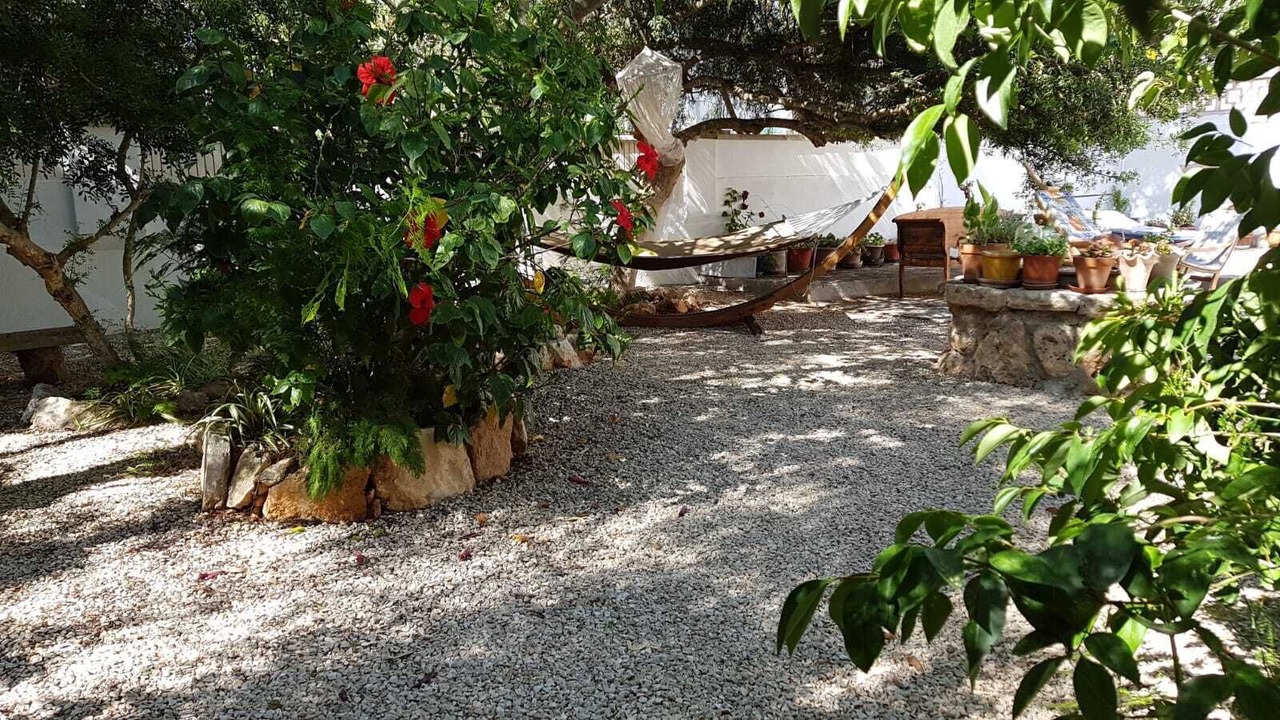 Photo of Outdoor in Sa Rapita