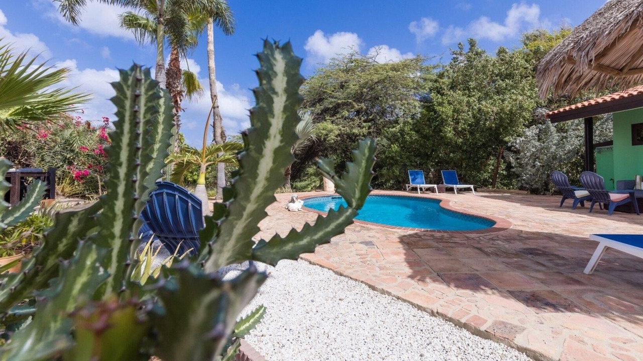Photo of Outdoor in Tarabana