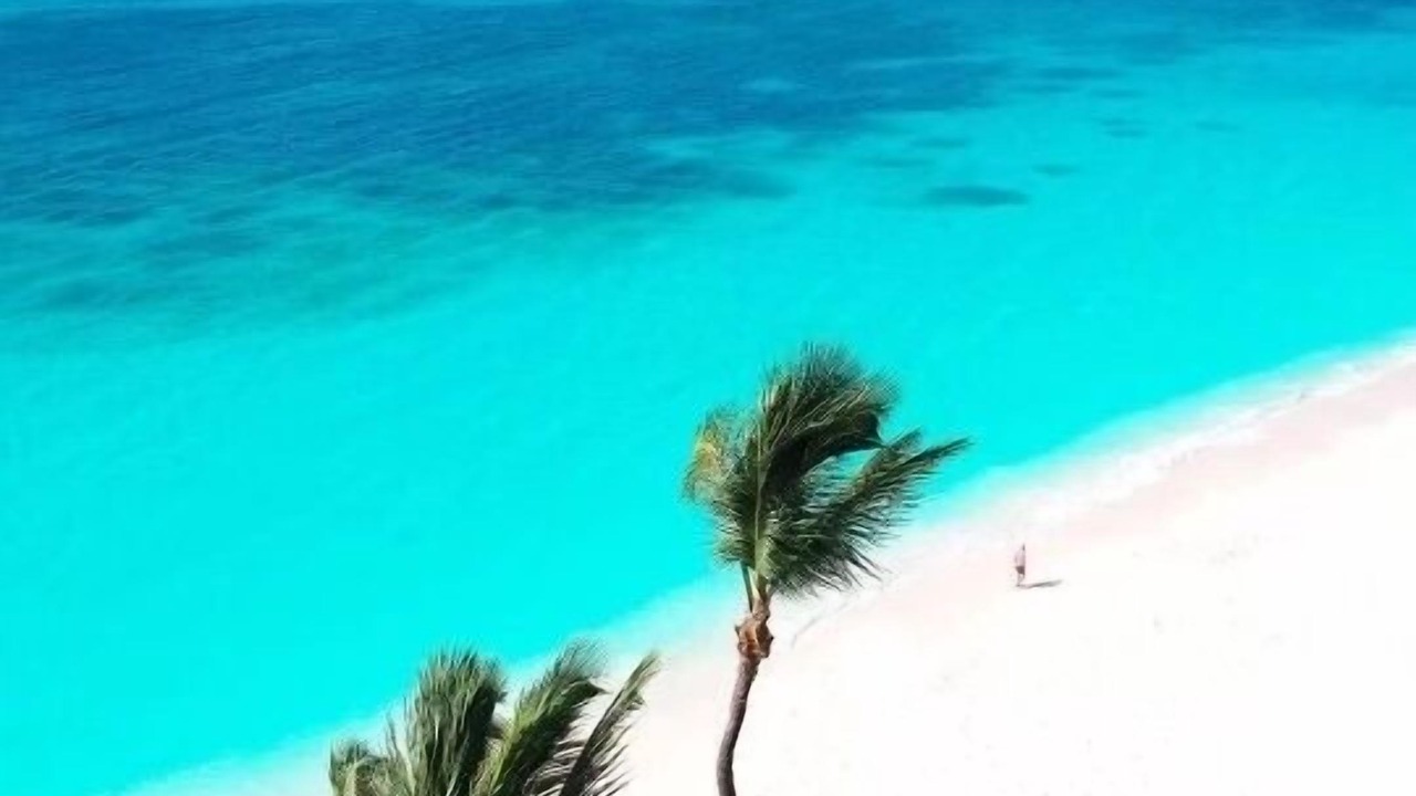 Photo of Others in Oranjestad-West