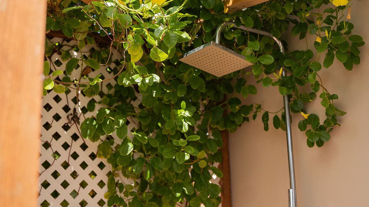Photo of Outdoor in Savaneta