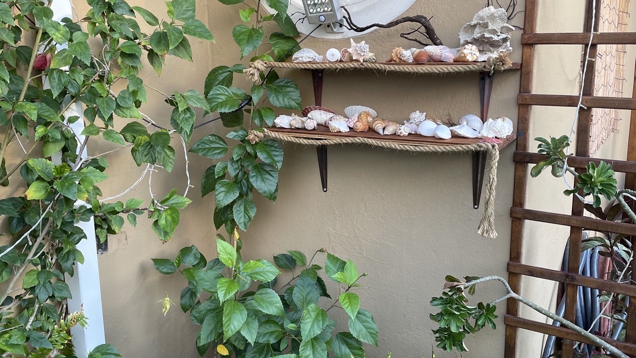 Photo of Outdoor in Turibana