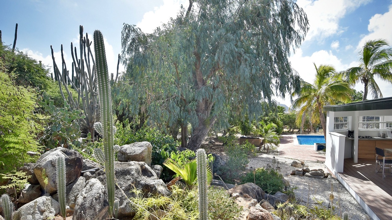 Photo of Outdoor in Paradera