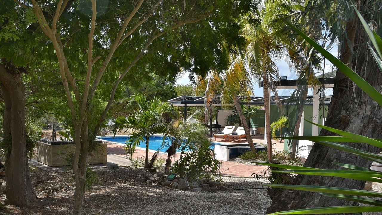 Photo of Outdoor in Paradera