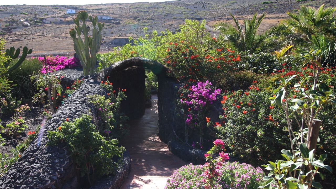 Photo of Outdoor in La Asomada