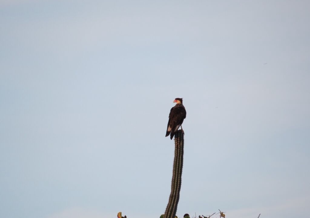 Photo of Others in Sero Colorado
