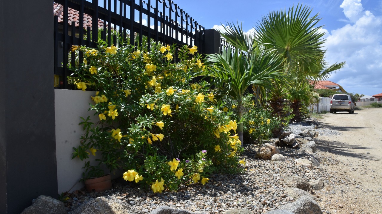 Photo of Outdoor in Esmeralda