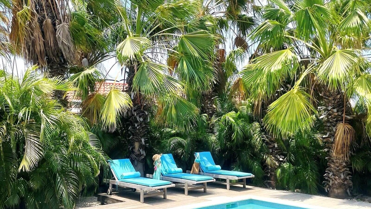 Photo of Outdoor in Cunucu Abao