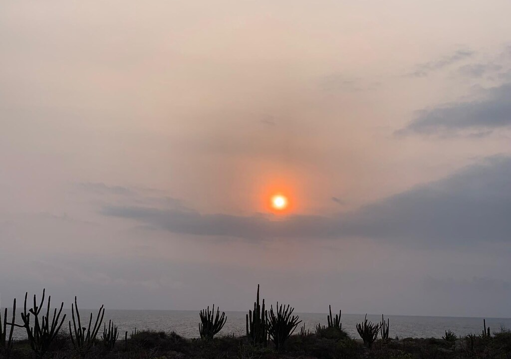 Photo of Others in Oranjestad-West