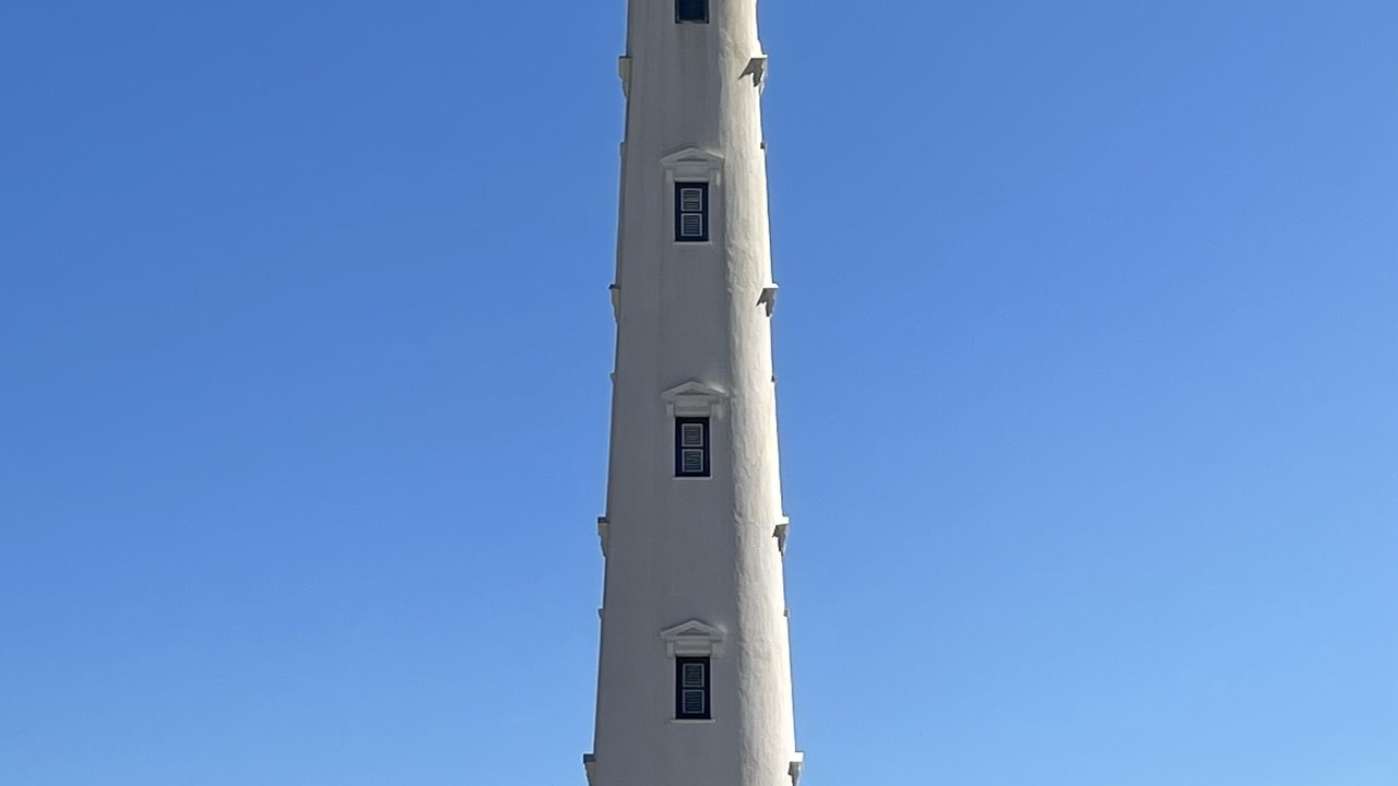 Photo of Others in Noord