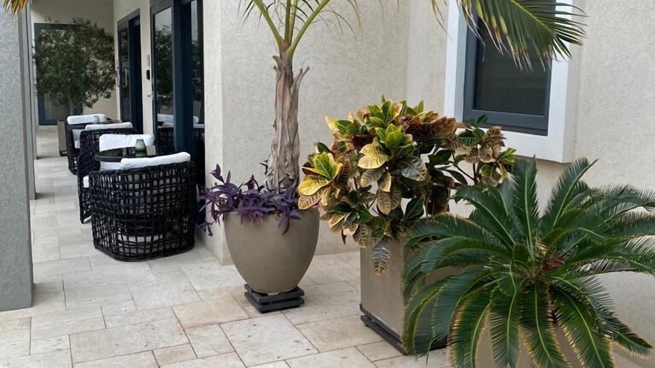 Photo of Patio Balcony in Opal