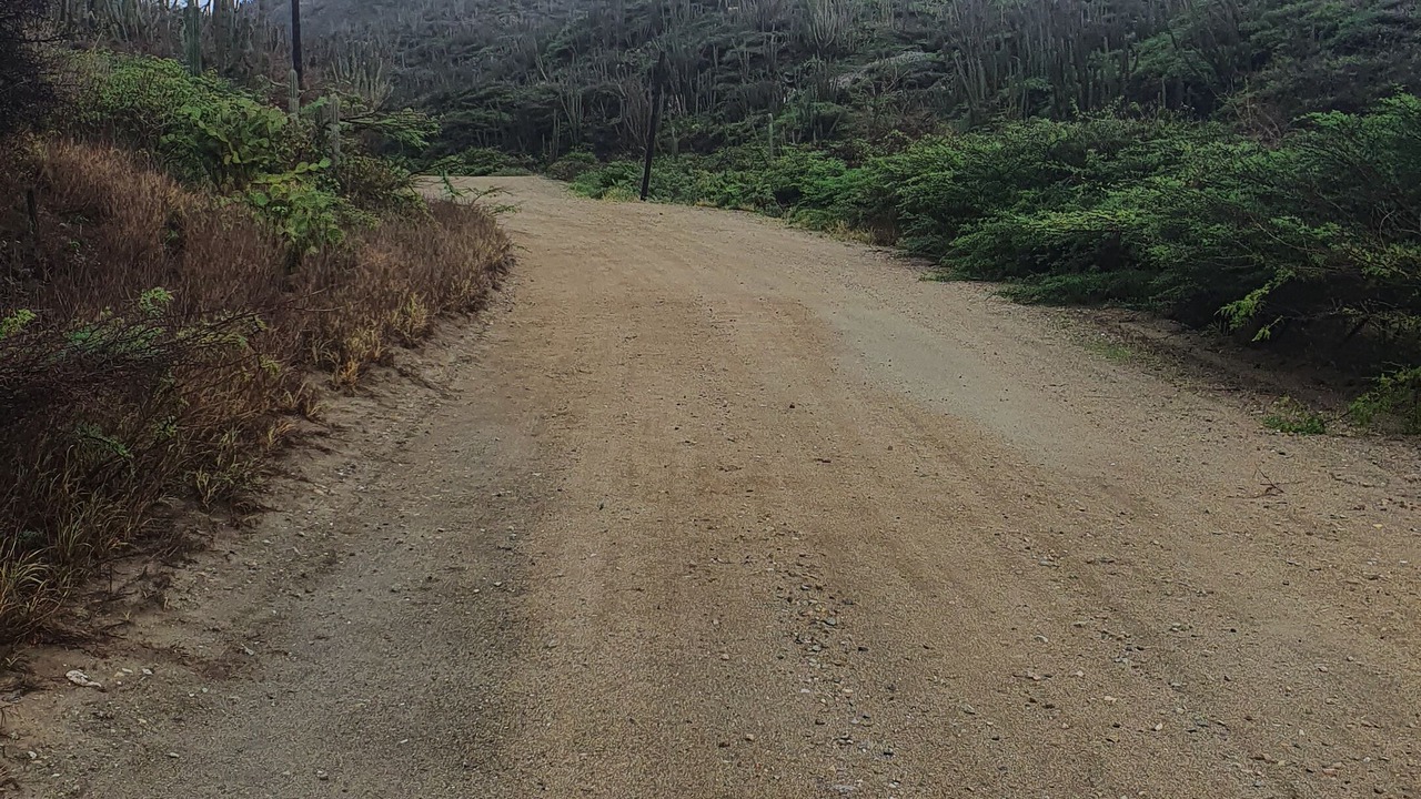 Photo of Outdoor in Shiribana