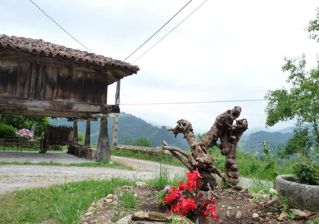 Photo of Outdoor in Narciandi