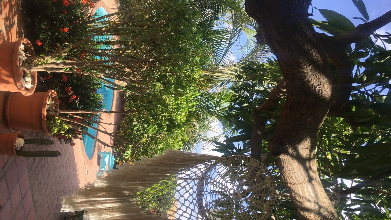 Photo of Outdoor in Pos Chiquito