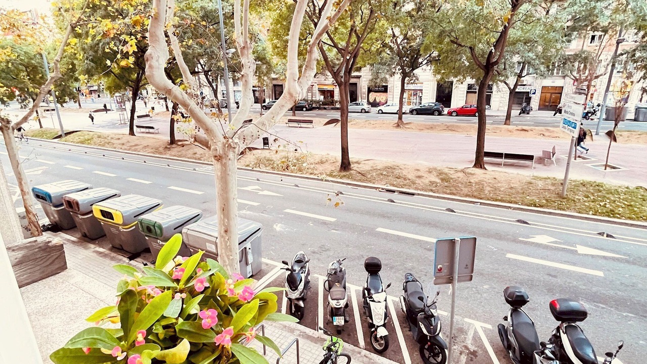 Photo of Outdoor in La Nova Esquerra de l'Eixample