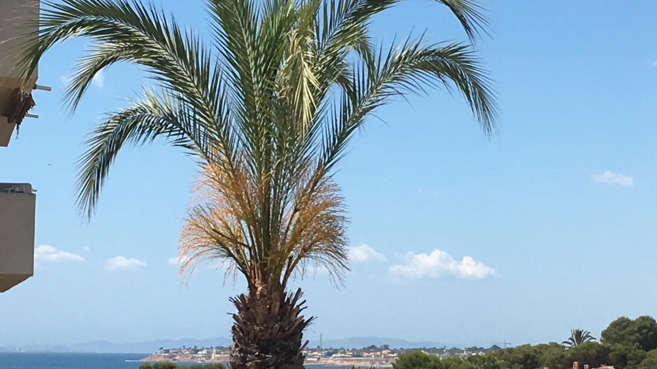 Photo of Others in Punta Prima