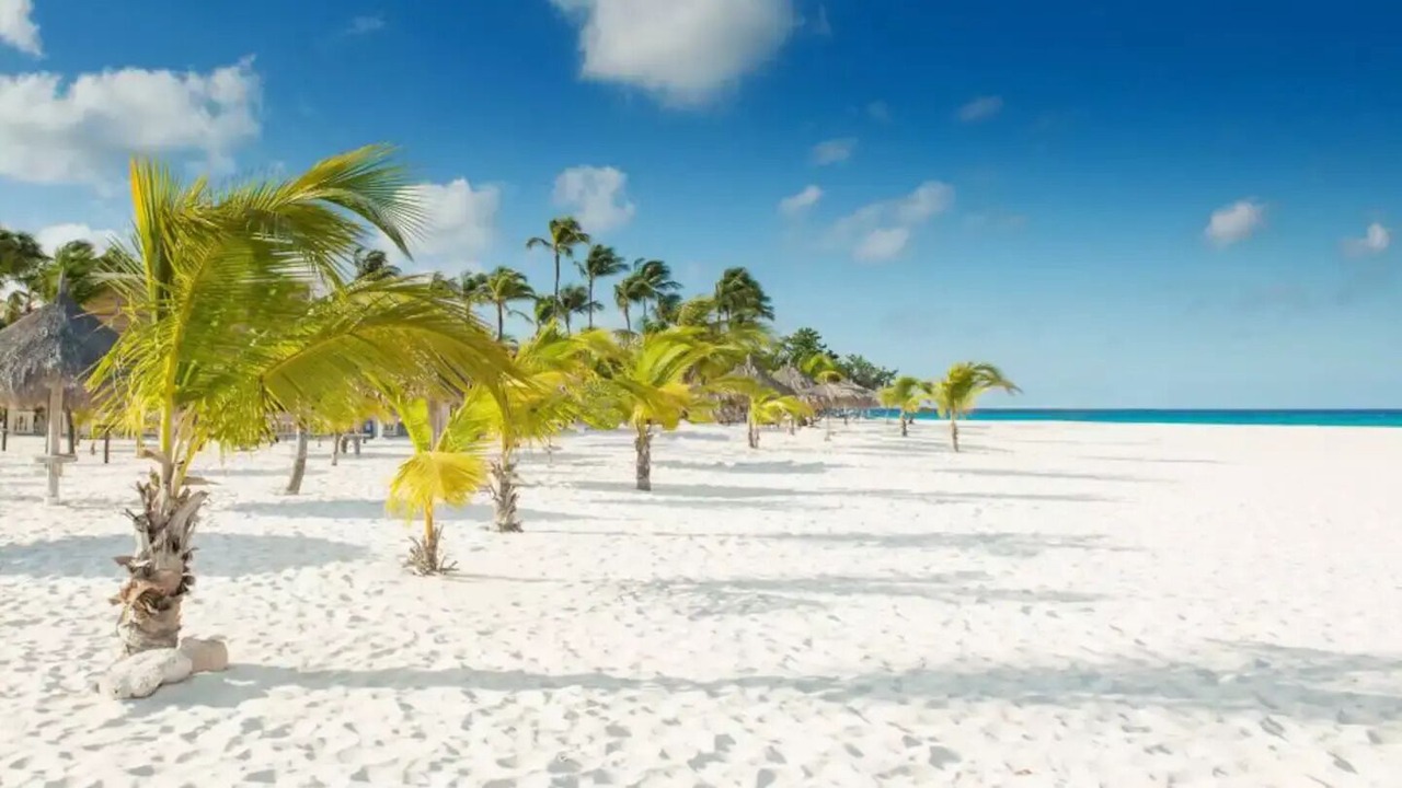 Photo of Others in Oranjestad-West