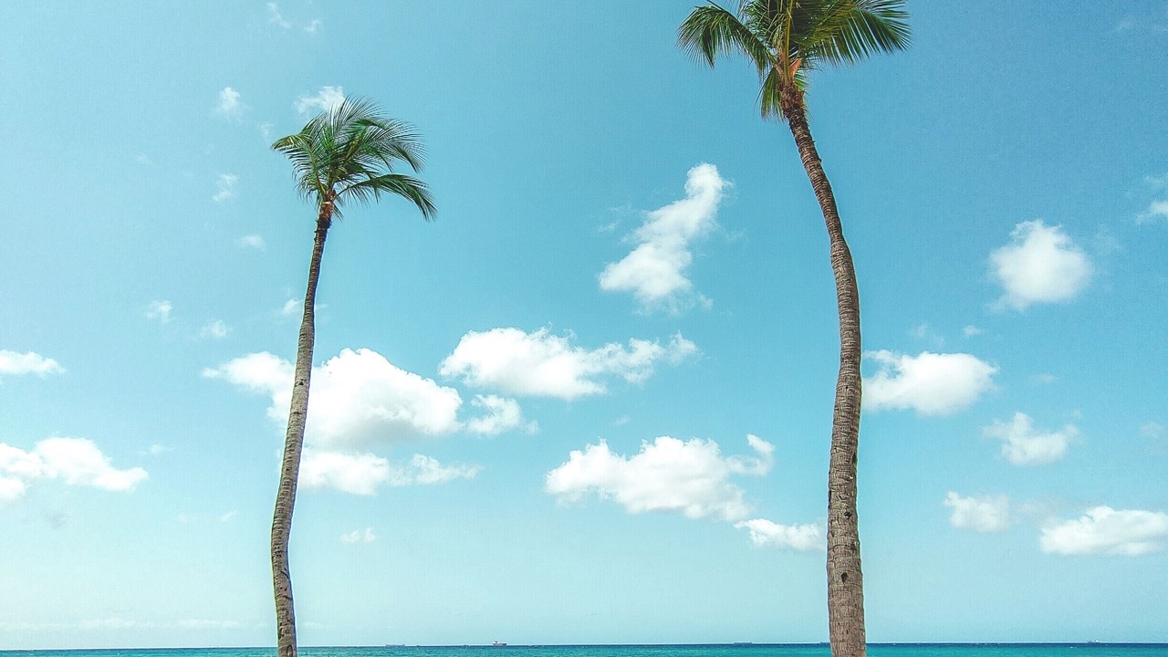 Photo of Others in Oranjestad-West