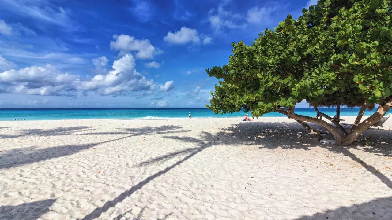 Photo of Others in Oranjestad-West