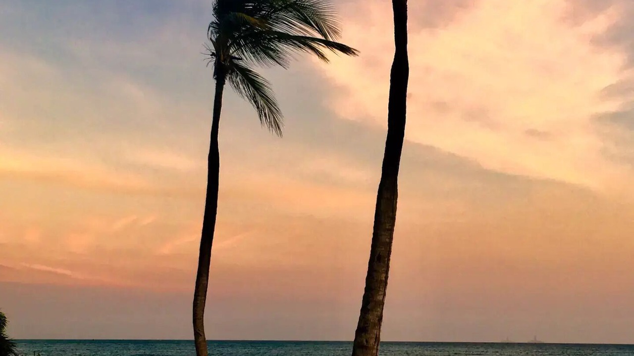 Photo of Others in Oranjestad-West