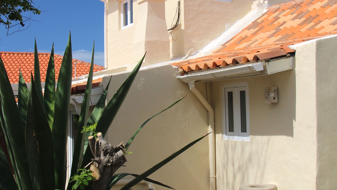 Photo of Outdoor in Turibana