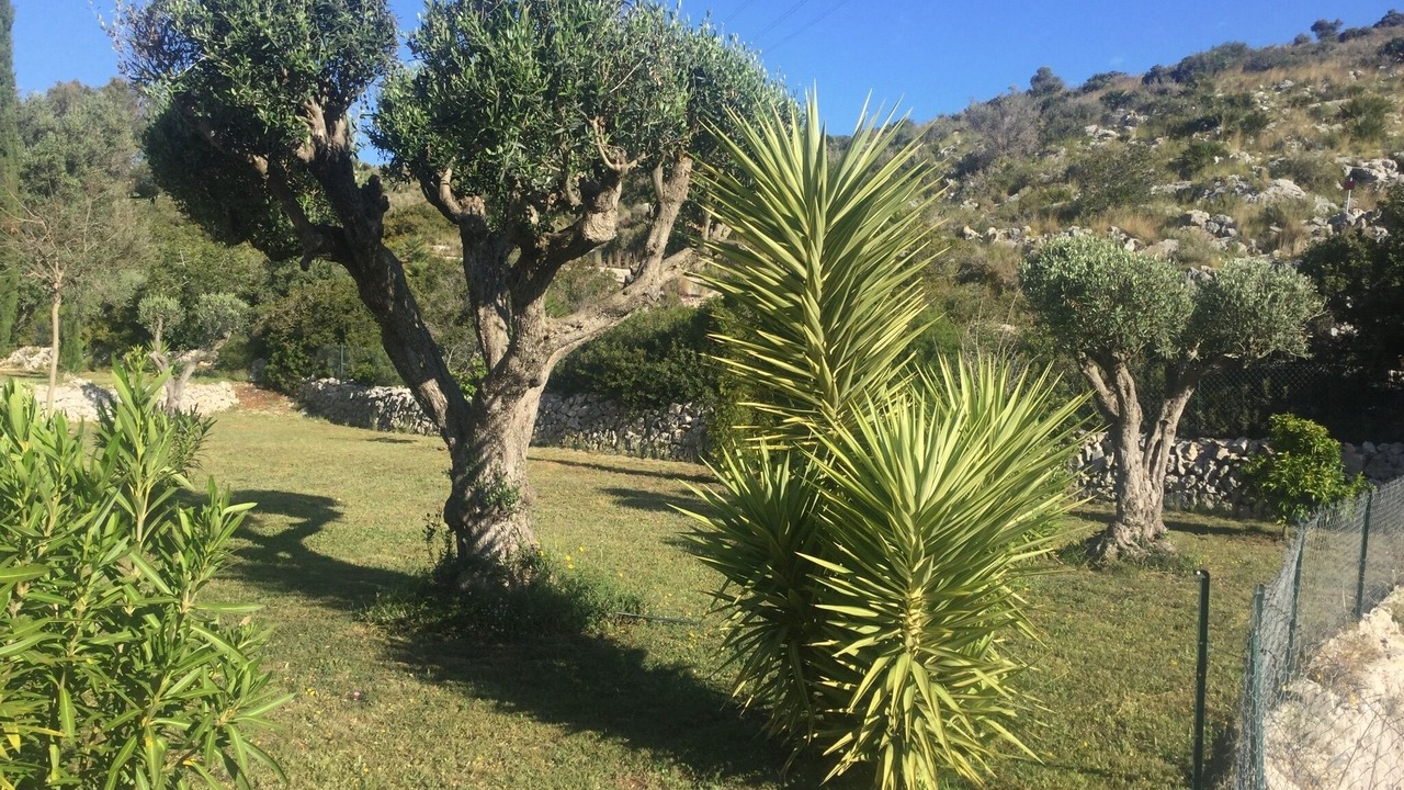 Photo of Outdoor in Gata de Gorgos