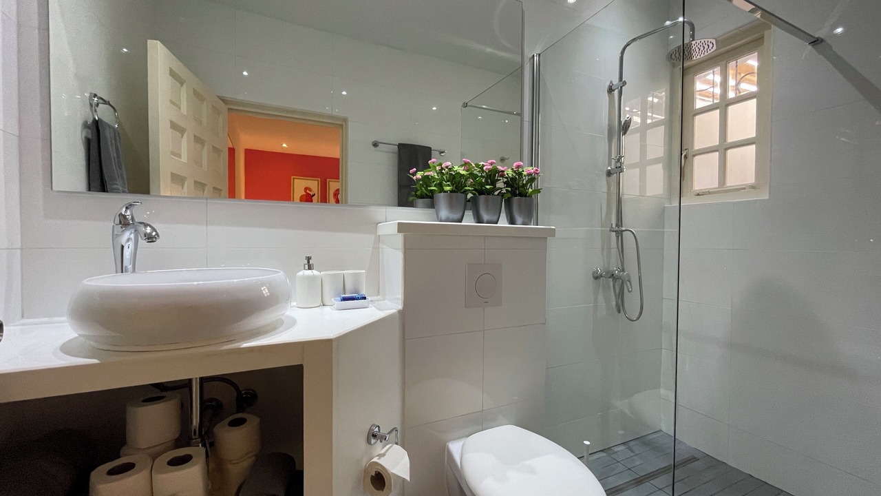 Photo of Bathroom in Oranjestad