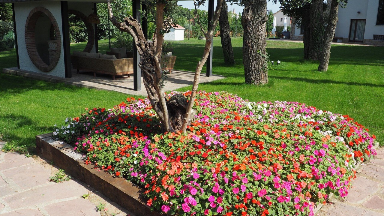 Photo of Outdoor in Llica d'Amunt