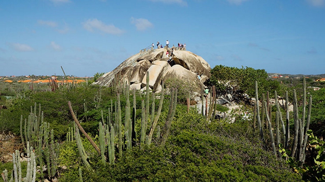 Photo of Outdoor in Santa Cruz