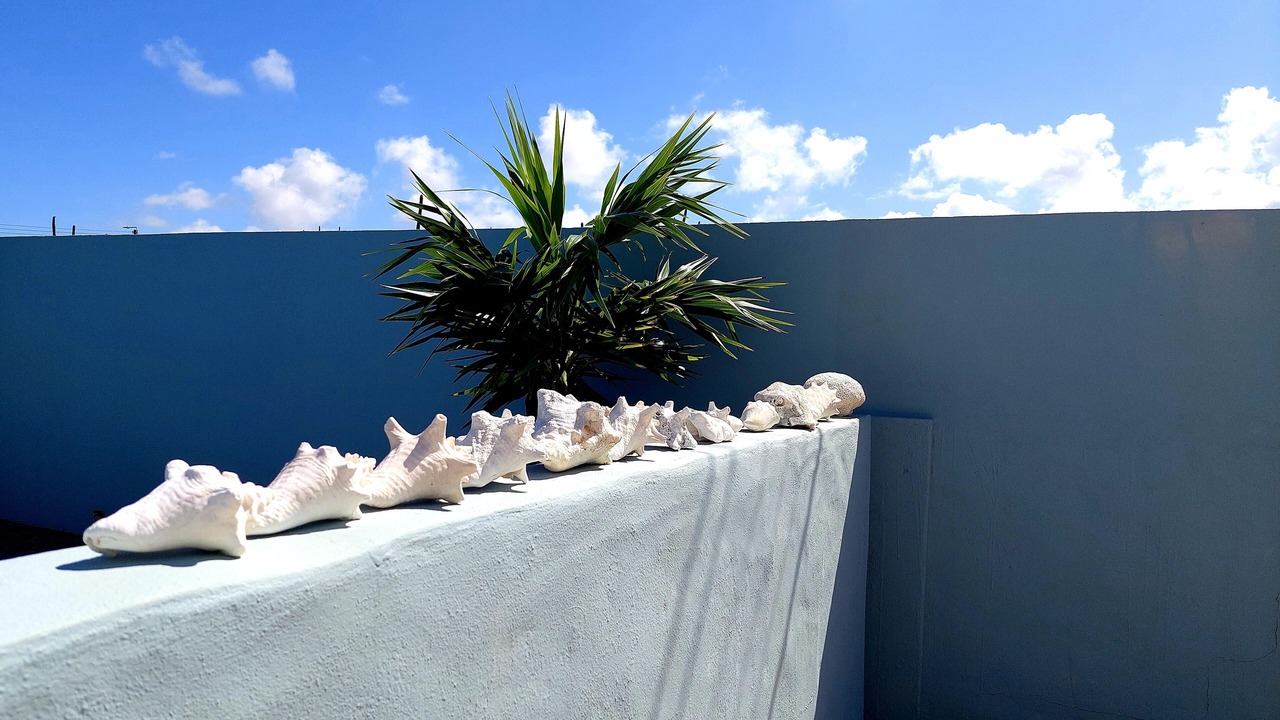 Photo of Outdoor in Turibana