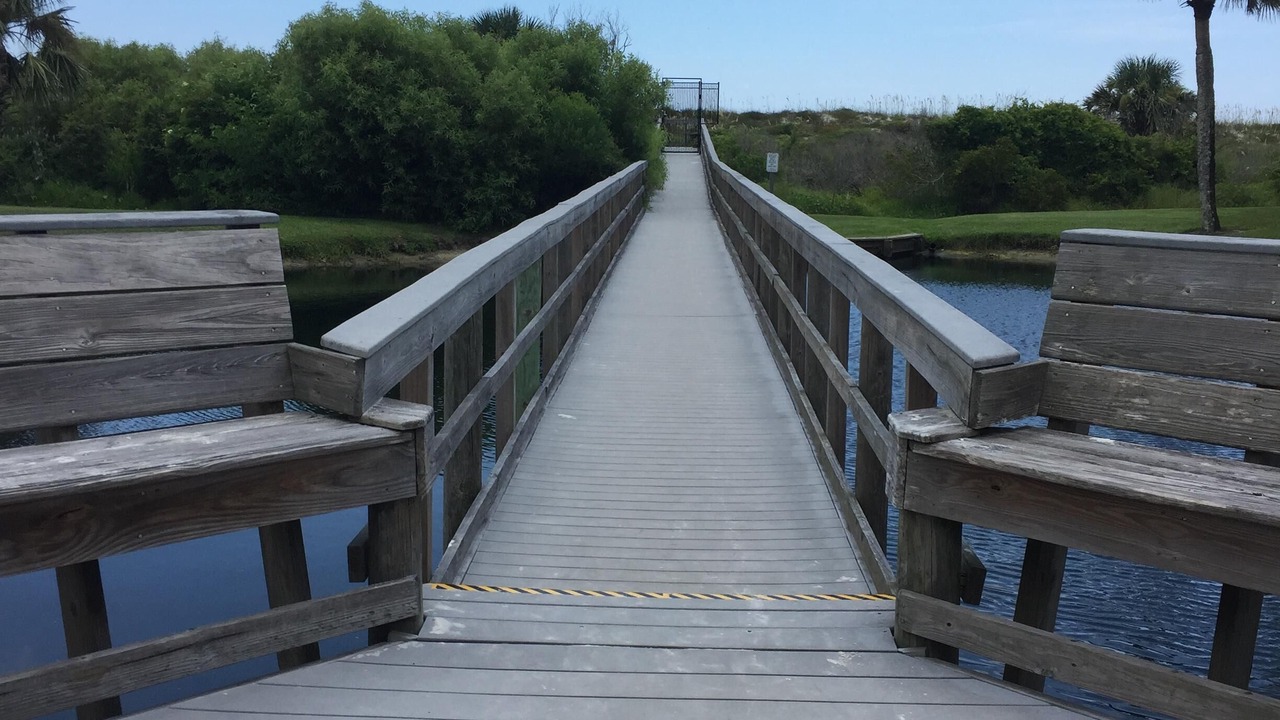 Photo of Others in St. Augustine Beach