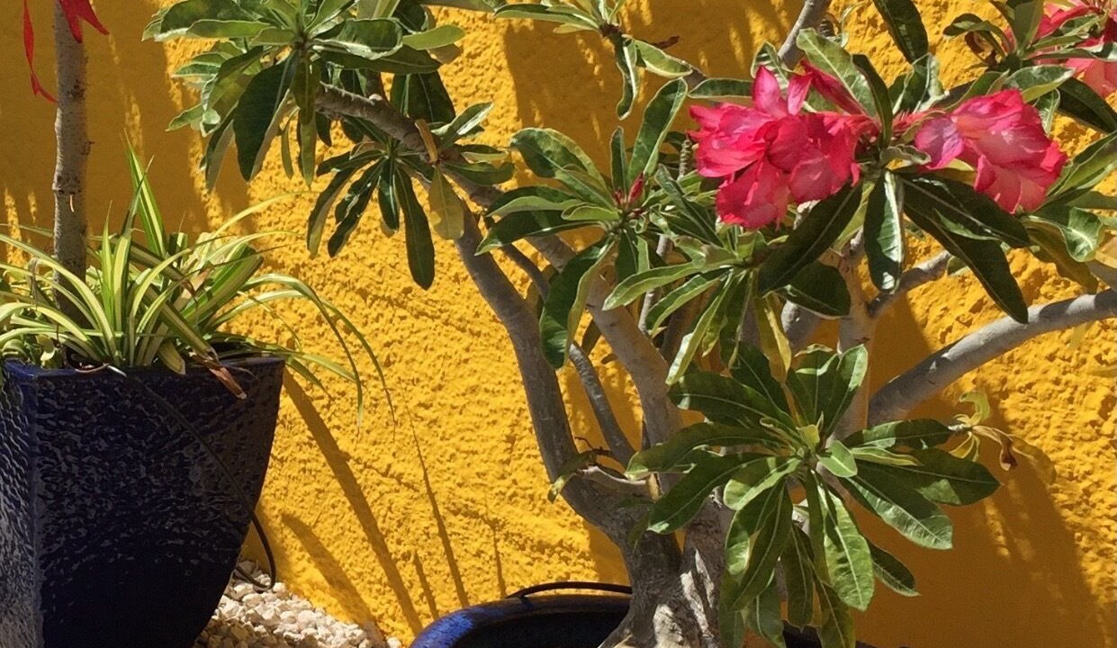 Photo of Outdoor in Sero Colorado