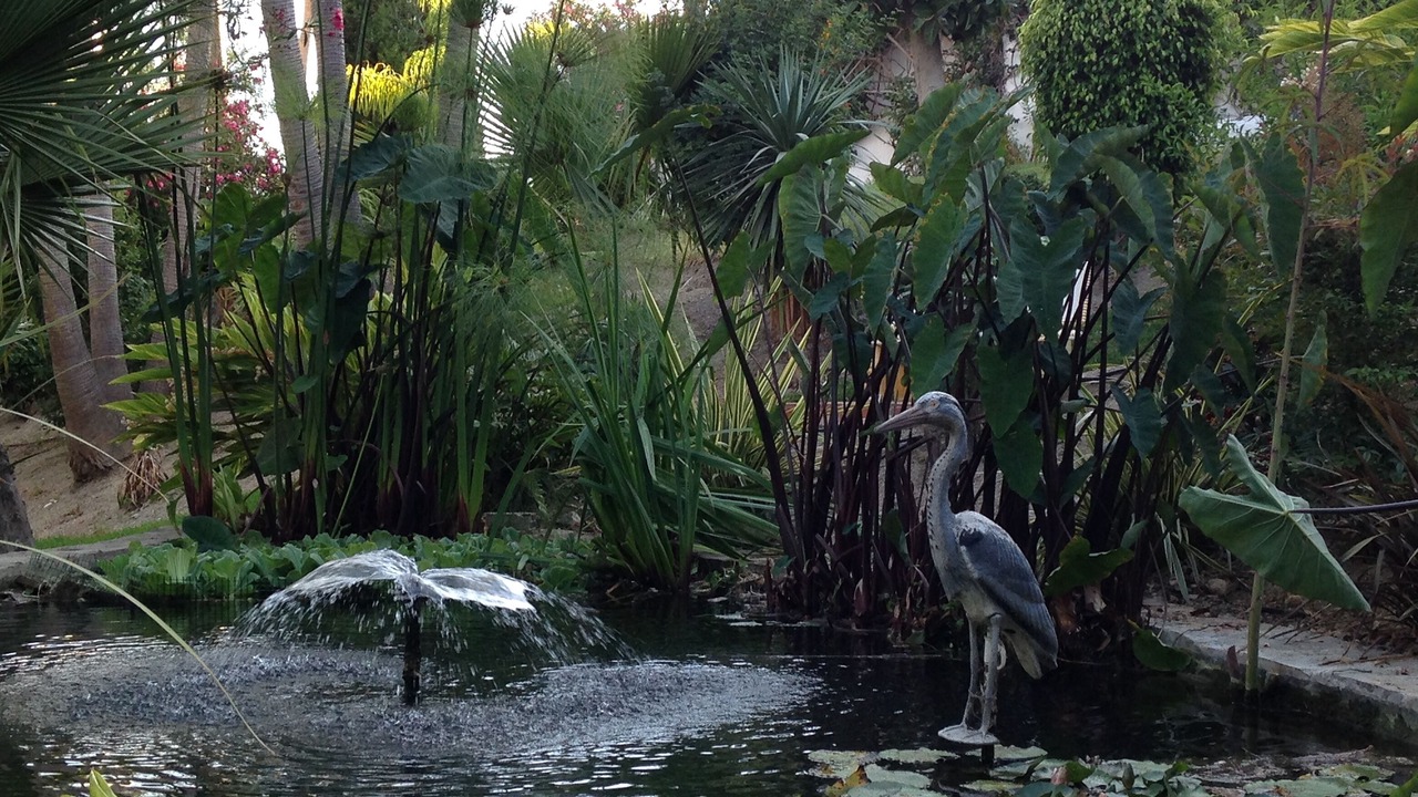 Photo of Others in Oasis del Capistrano