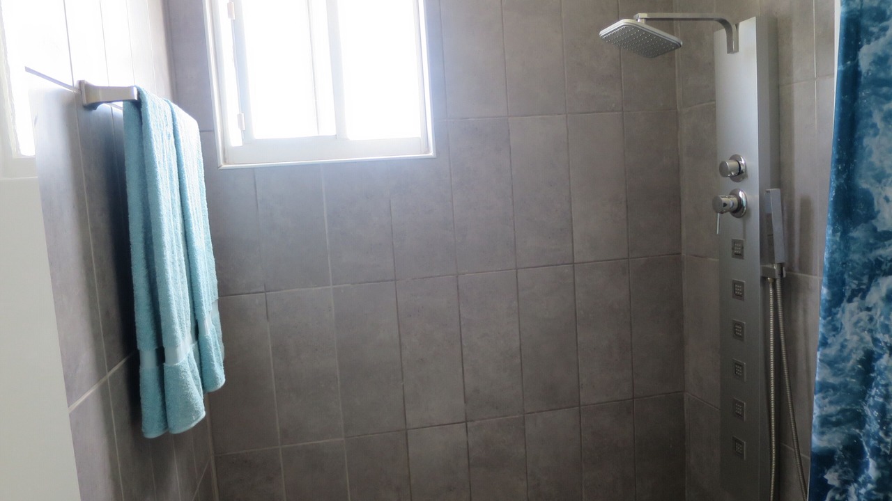 Photo of Bathroom in Bushiri