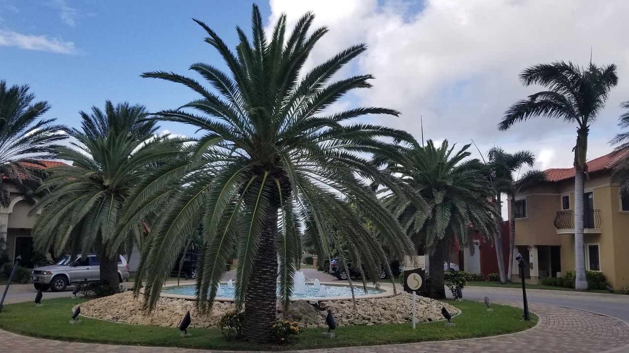 Photo of Outdoor in Esmeralda