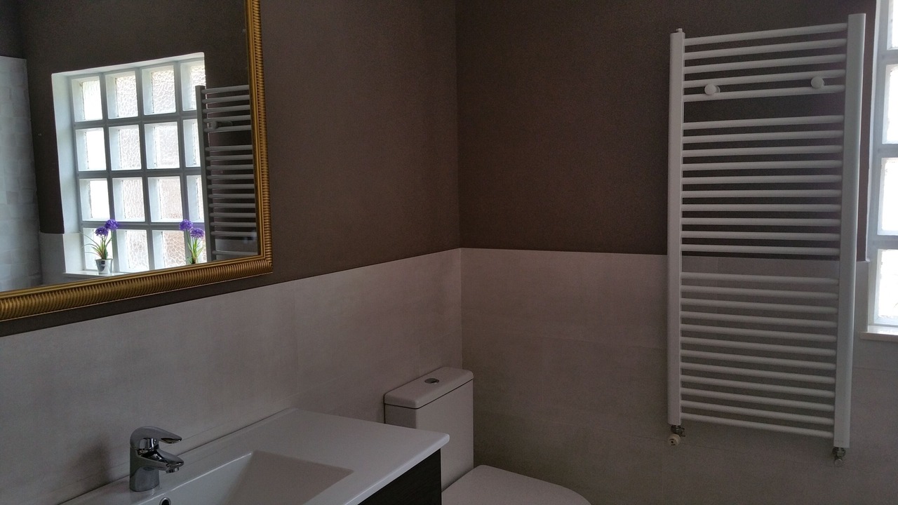 Photo of Bathroom in Inguanzo
