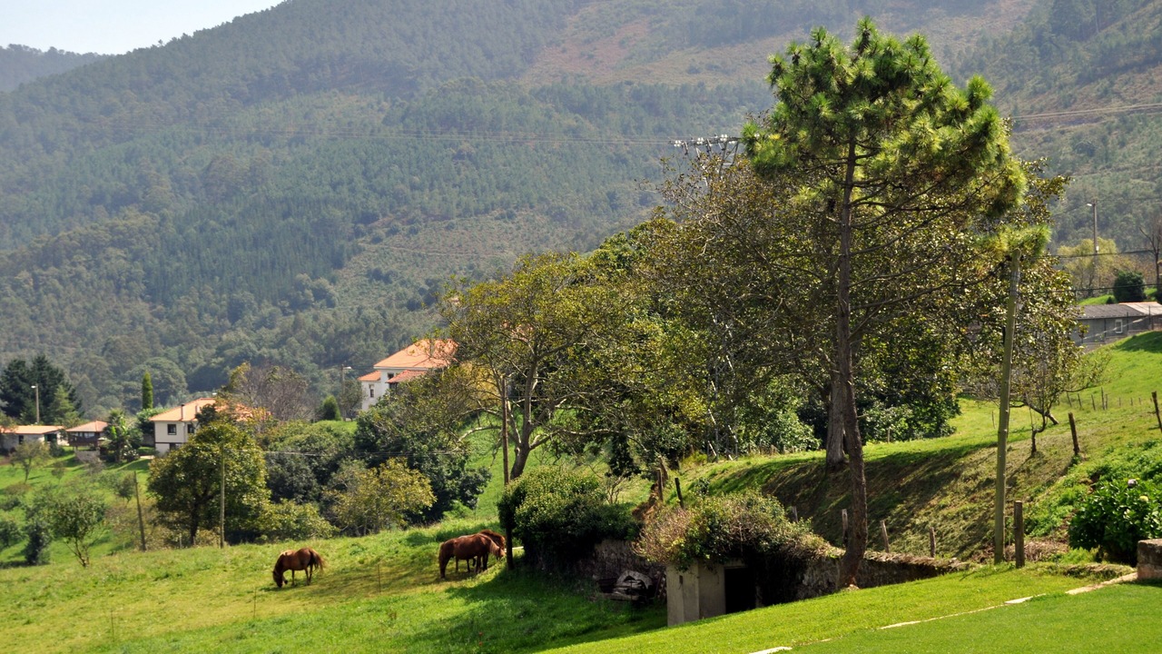 Photo of Outdoor in San Martin de Luina