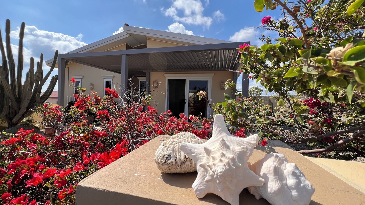 Photo of Outdoor in Alto Vista