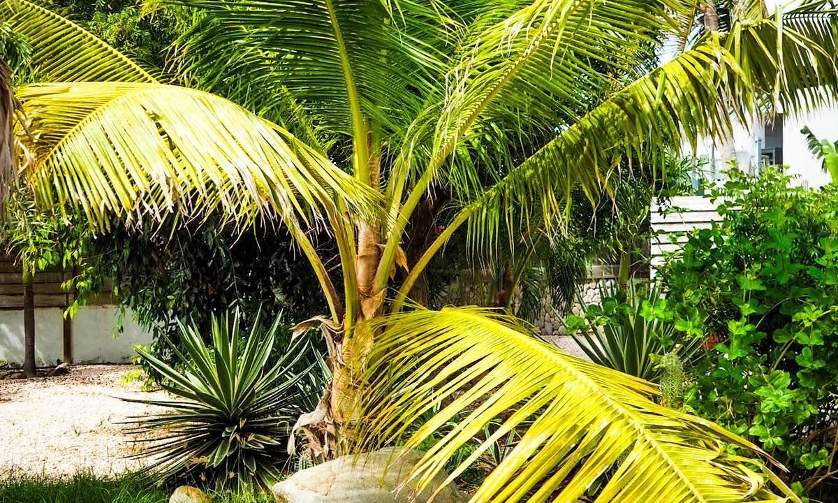 Photo of Outdoor in Sabana Liber Villapark