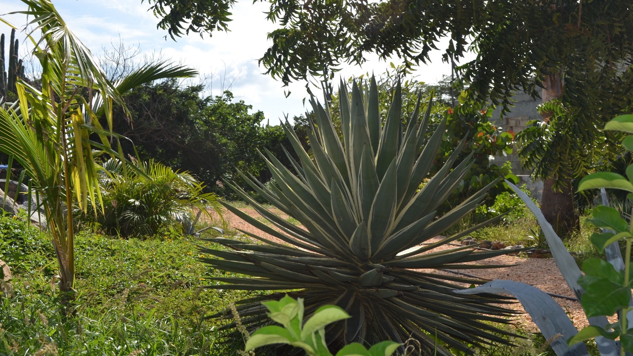 Photo of Outdoor in Sabana Liber Villapark