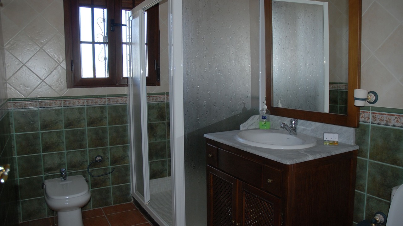 Photo of Bathroom in Iznajar
