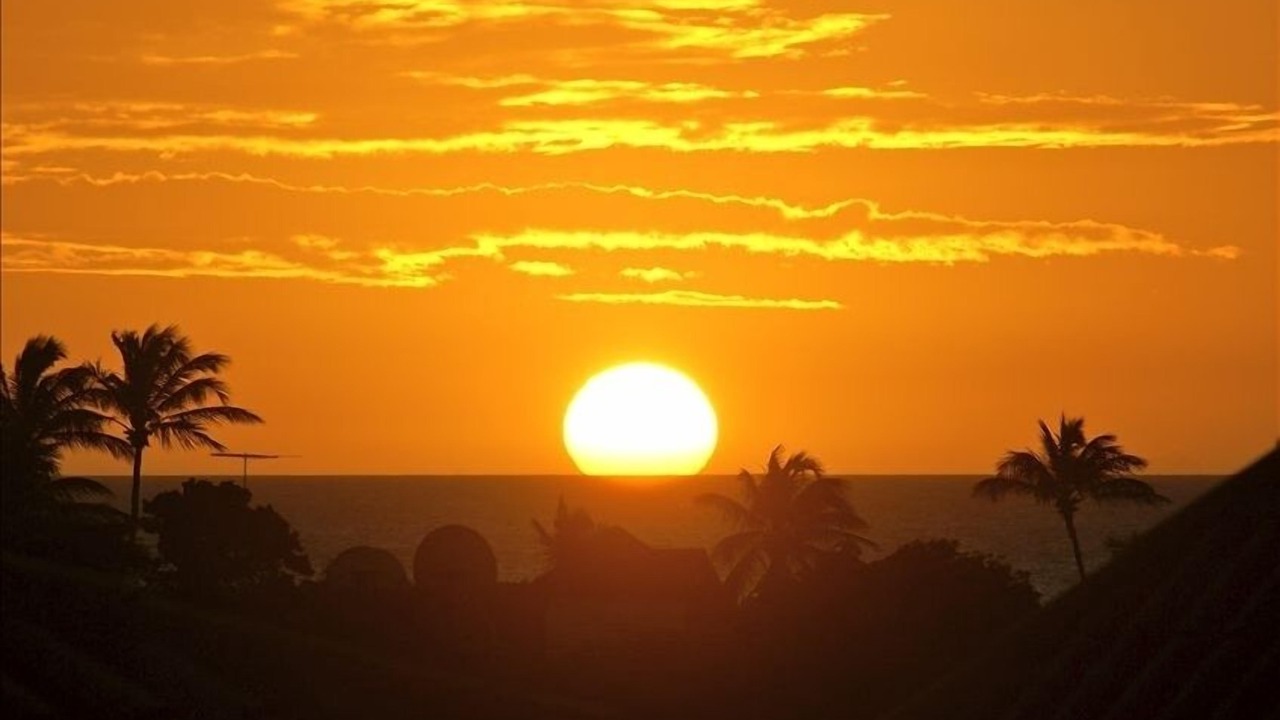 Photo of Others in Oranjestad-West