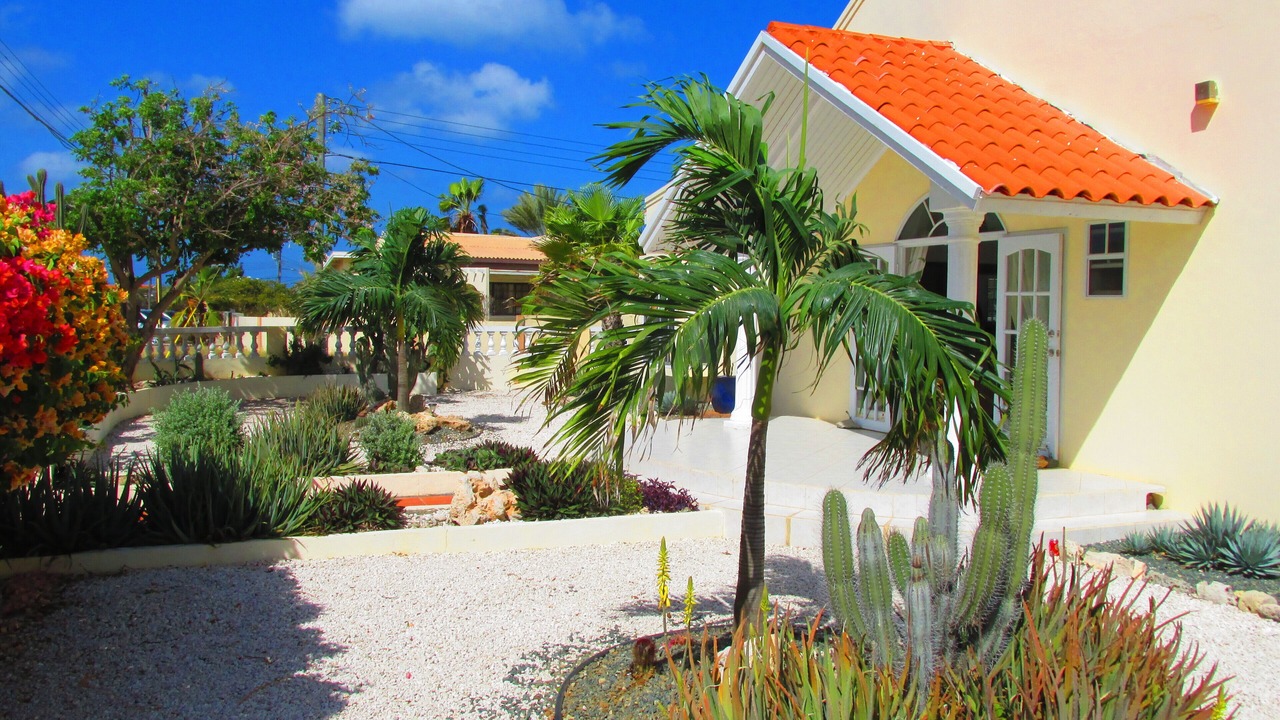 Photo of Outdoor in San Miguel